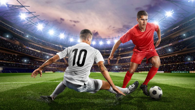 Các thông tin mà fan hâm mộ thu thập được thông qua lịch thi đấu