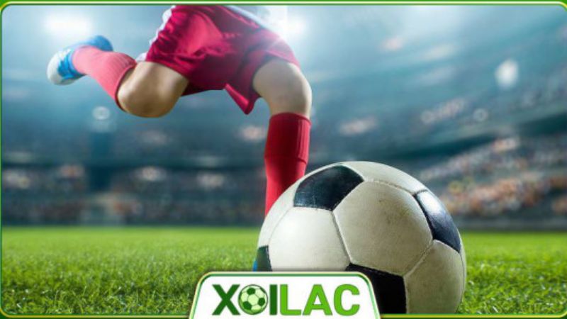 Một số lưu ý cần để tâm trong quá trình trải nghiệm