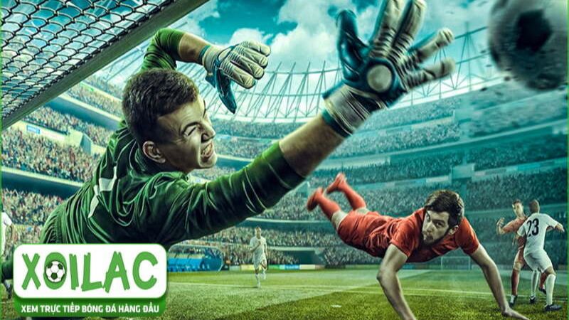 Cách truy cập nền tảng và thưởng thức các trận đấu